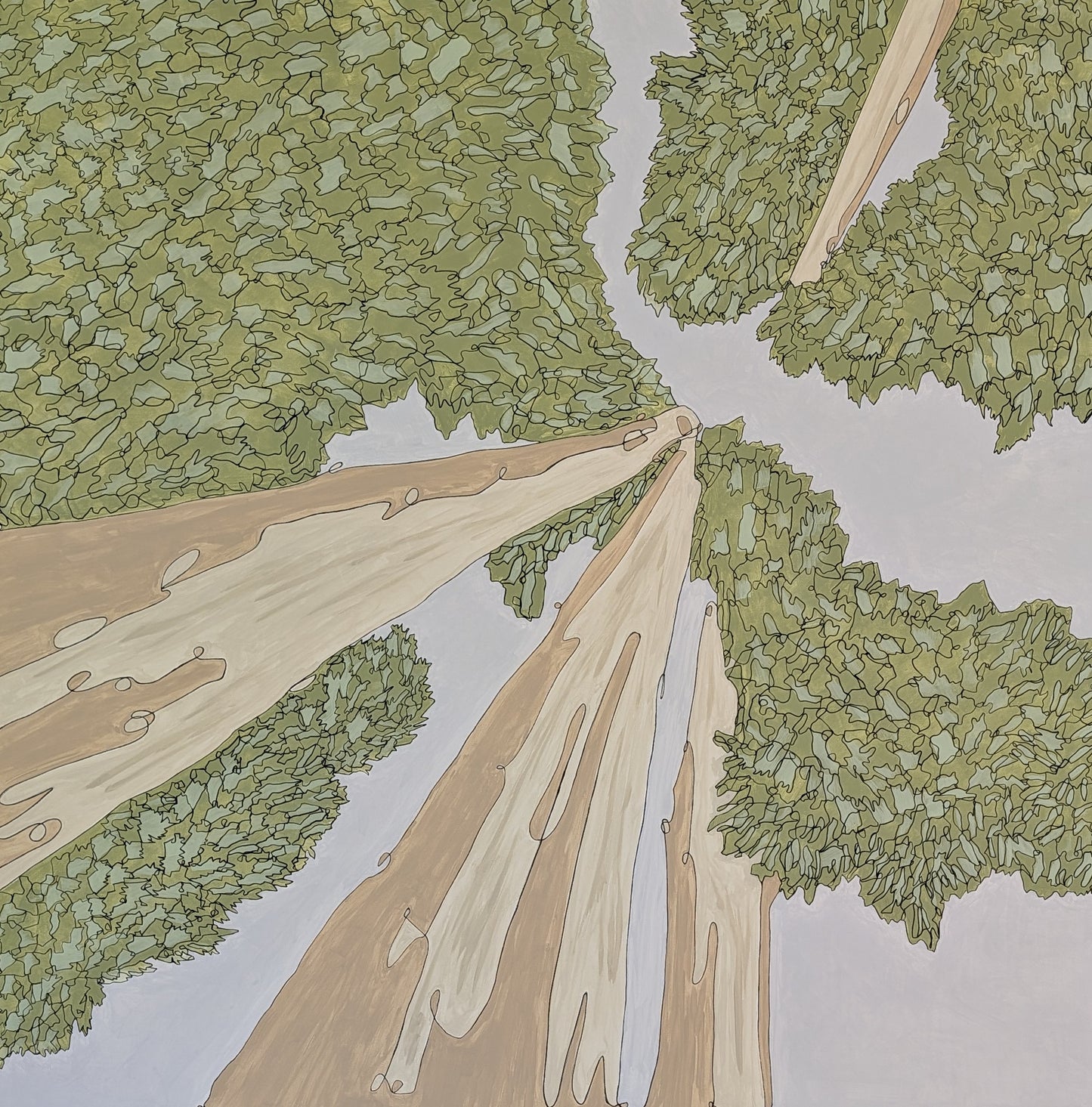 Under the Redwoods (60 x 60)